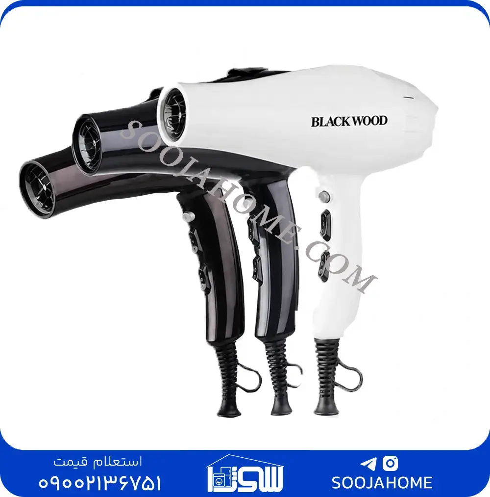 53 - RS2300 سشوار حرفهای بلک وود مدل RS-2300 | قدرت ۲۳۰۰ وات و موتور سنگین - تصویر 1